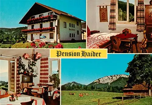 AK / Ansichtskarte  Fladnitz_Teichalm_Steiermark_AT Pension Haider Gaestezimmer Gaststube Panorama 