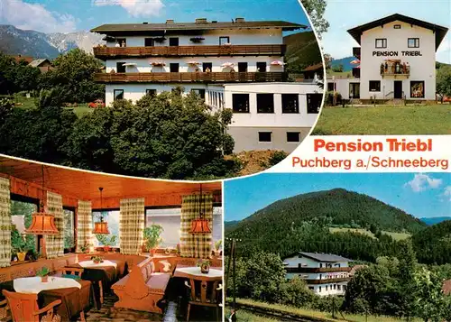 AK / Ansichtskarte  Puchberg_Schneeberg Pension Triebl Gaststube Panorama Puchberg Schneeberg