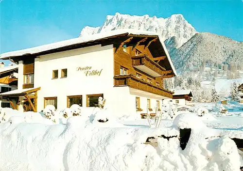 AK / Ansichtskarte 73888308 Ehrwald_Tirol_AT Pension Erlihof 