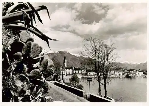 AK / Ansichtskarte  Ascona_Lago_Maggiore_TI Vegetazione 