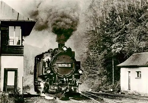 AK / Ansichtskarte  Kipsdorf_Altenberg Schmalspurbahn am Bahnhof Kipsdorf 