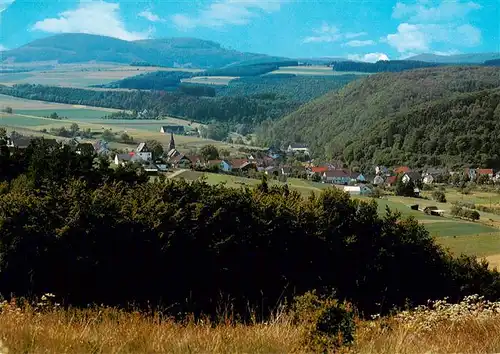 AK / Ansichtskarte  Braunshausen_Sauerland Panorama Braunshausen_Sauerland