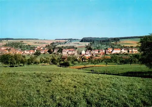 AK / Ansichtskarte  Breitenbrunn_Odenwald Panorama Breitenbrunn Odenwald