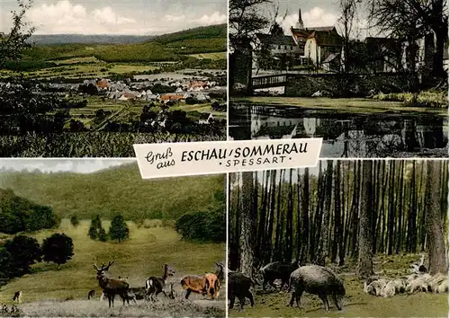 AK / Ansichtskarte  Eschau_Unterfranken Panorama Kirche Wildfuetterung Eschau Unterfranken