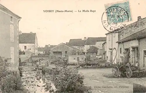 AK / Ansichtskarte  Voisey_52_Haute-Marne Le Molle Rupt 