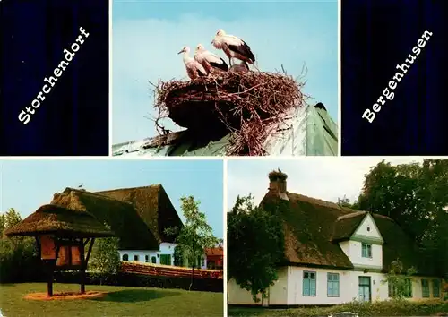 AK / Ansichtskarte  Bergenhusen Storchendorf Reetdachhaeuser Storchennest Bergenhusen