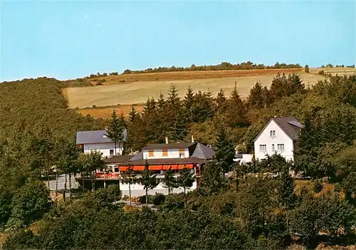 AK / Ansichtskarte  Presberg_Rheingau_Ruedesheim Gaststaette Rheingauer Alp 