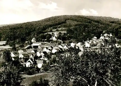 AK / Ansichtskarte  Muemling-Grumbach_Odenwald Panorama 