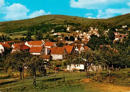 AK / Ansichtskarte  Muemling-Grumbach_Odenwald Panorama 