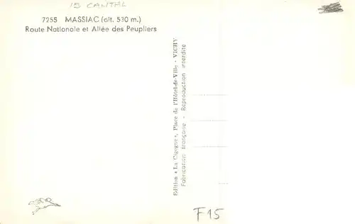 AK / Ansichtskarte  Massiac_15_Cantal Route Nationale et Allee des Peupliers 