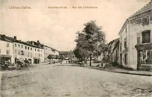 AK / Ansichtskarte  Chateau-Salins_57_Moselle Ackerbau Strasse Feldpost 