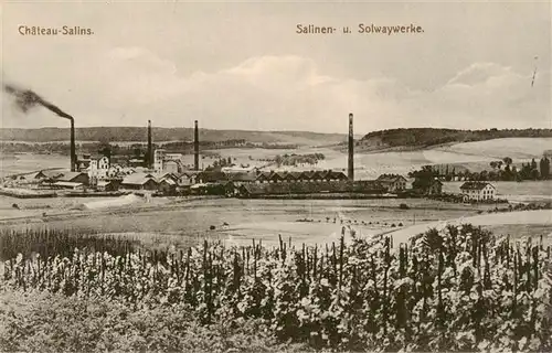 AK / Ansichtskarte  Chateau-Salins_57_Moselle Salinen und Solwaywerke 