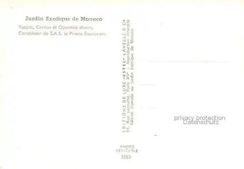 AK / Ansichtskarte 73889652 Kakteen Jurdin Exotique de Monaco  