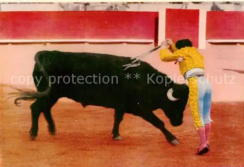 AK / Ansichtskarte  Stierkampf_Corrida_de_Toros_Bullfight Spanien National festi Bull Fight 