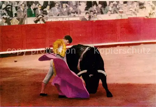 AK / Ansichtskarte  Stierkampf_Corrida_de_Toros_Bullfight Bull Fight Spanien national fest 
