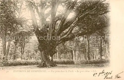 AK / Ansichtskarte  Baeume_Trees_Arbres_Arboles Environs de compiegne le gros chêne 