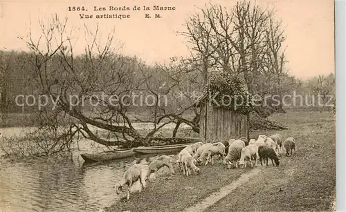 AK / Ansichtskarte  Tiere Schaffe Les bords de la Marne 