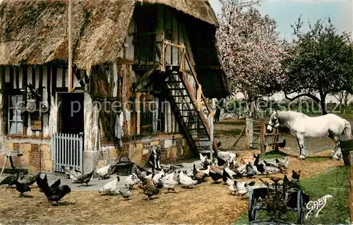 AK / Ansichtskarte  Bauernhof La Normandie Devant la ferme Tiere 