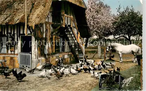 AK / Ansichtskarte  Bauernhof La Normandie Devant la ferme Tiere 