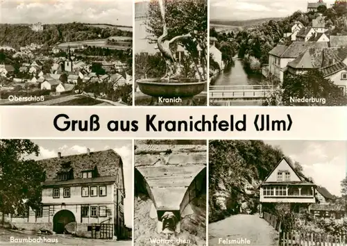 AK / Ansichtskarte  Kranichfeld Oberschloss Kranich Niederburg Baumbachhaus Wahrzeichen Felsmuehle Kranichfeld