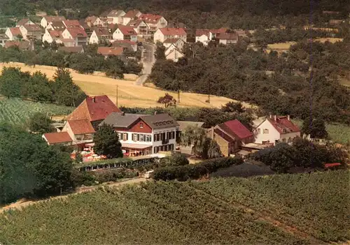 AK / Ansichtskarte  Frauenstein__Wiesbaden Gaststaette Weingut Hof Nuernberg Fliegeraufnahme 