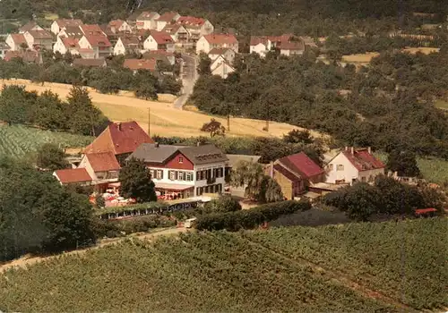 AK / Ansichtskarte  Frauenstein__Wiesbaden Gaststaette Weingut Hof Nuernberg Fliegeraufnahme 