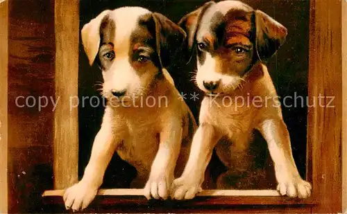 AK / Ansichtskarte 73890146 Hunde_dogs_chiens Neujahr 1908 