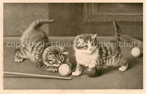 AK / Ansichtskarte  Katzen H.H.Couldery Pinx  