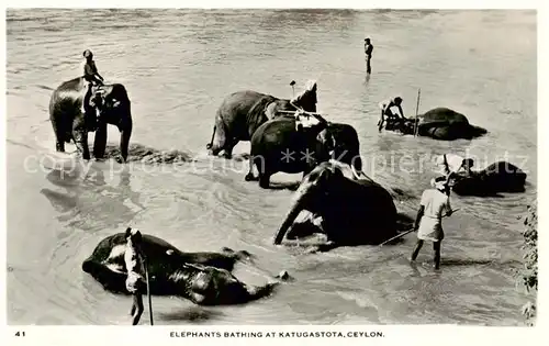 AK / Ansichtskarte 73890164 Elefant Baden Katugastota Ceylon 