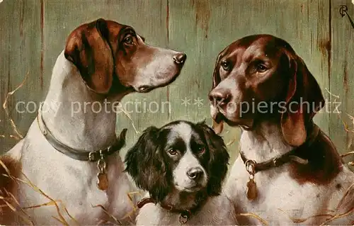 AK / Ansichtskarte 73890165 Hunde_dogs_chiens T.S.N. Serie 1233 pouse 