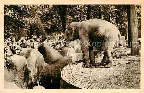 AK / Ansichtskarte 73890176 Elefant Paris Jardin Zoologique de Vincennes  