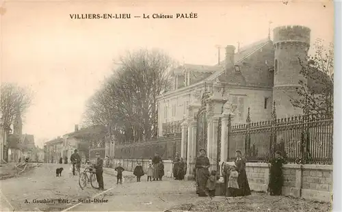 AK / Ansichtskarte  Villiers-en-Lieu_52_Haute-Marne Château Palée 