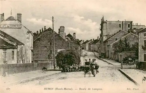 AK / Ansichtskarte  Humes-Jorquenay_52_Haute-Marne Route de Langres 