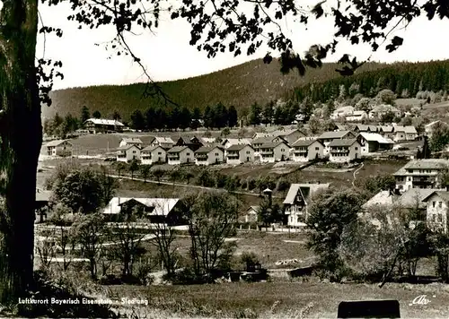 AK / Ansichtskarte  Bayerisch_Eisenstein Siedlung Luftkurort Bayerisch_Eisenstein