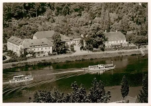 AK / Ansichtskarte  Heidelberg__Neckar Parkhotel Haarlass Aussichtspunkt am Neckar und Bergwald 