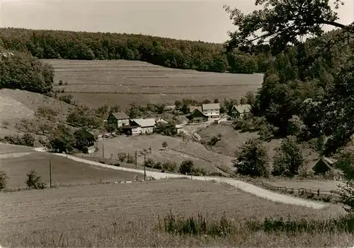 AK / Ansichtskarte  Diedenshausen_Wittgenstein Sommerfrische Hof Dachsloch Diedenshausen