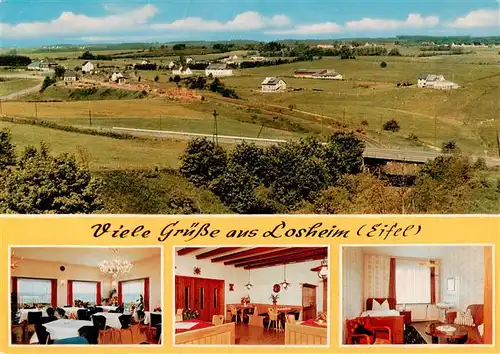 AK / Ansichtskarte  Losheim_Eifel Fliegeraufnahme Hotel Pension Balter Gastraeume Zimmer Losheim Eifel