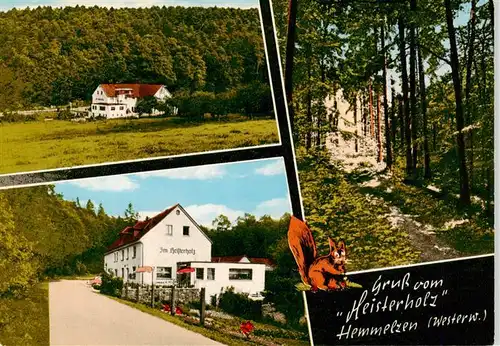 AK / Ansichtskarte  Hemmelzen Gasthaus Im Heisterholz Hemmelzen