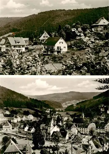 AK / Ansichtskarte  Herrenalb_Bad_Herrenalb Landhaus Koenig Panorama 