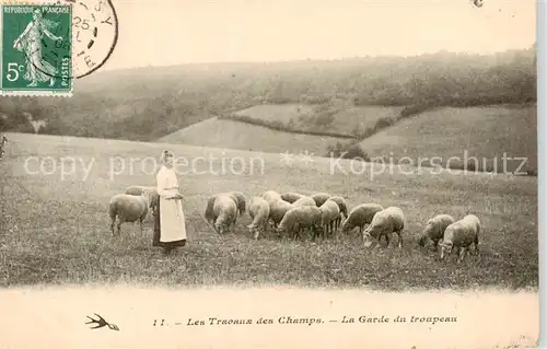 AK / Ansichtskarte  Schafe Les travaux des champs. La garde du troupeau 