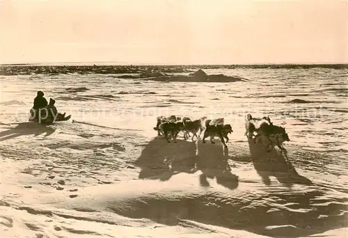 AK / Ansichtskarte  Schlitten_Bobsleigh_Traineaux Schlittenhunde 