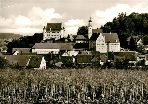 AK / Ansichtskarte  Laupheim Schloss Oberbalzheim Laupheim