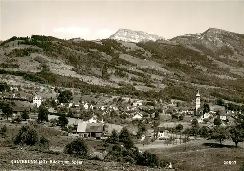 AK / Ansichtskarte  Kaltbrunn_SG Panorama Blick zum Speer 