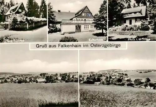 AK / Ansichtskarte 73891474 Falkenhain_Altenberg_Erzgebirge Haus Felicitas Kulturhaus Haus in der Sonne Panorama Falkenhain_Altenberg