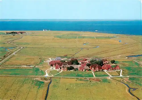 AK / Ansichtskarte  Hallig_Hooge Hanswarft und Backenswarft Fliegeraufnahme Hallig Hooge