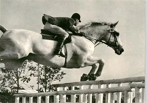 AK / Ansichtskarte  Reitsport_Pferdesport_Pferderennen Kamerad unter Hermann Schridde 