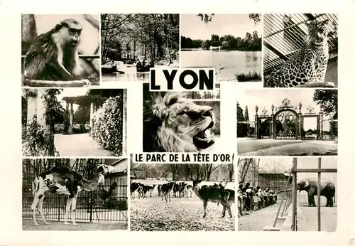 AK / Ansichtskarte  Zoo_Gardin_Zoologique-- Lyon Parc de tete dor 