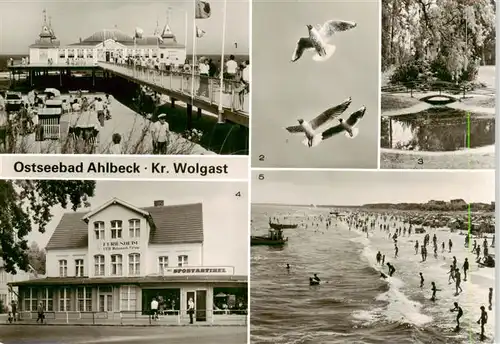 AK / Ansichtskarte  Ahlbeck_Ostseebad Seebruecke Moewen Park Ferienheim des VEB Walzwerk Finow Blick auf den Strand Ahlbeck_Ostseebad