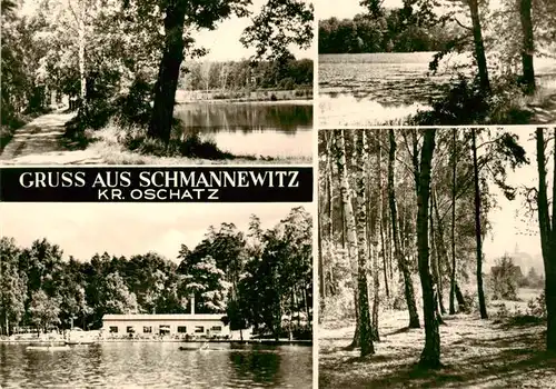 AK / Ansichtskarte  Schmannewitz_Dahlen_Sachsen Waldweg Seepartien Panorama 