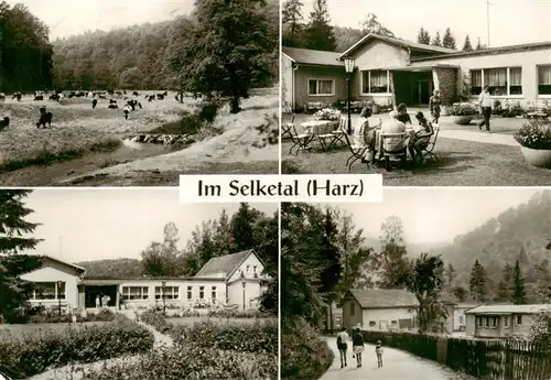 AK / Ansichtskarte 73892544 Selketal Schulungs- und Ferienheim Selkemuehle Landschaft Viehweide Selketal